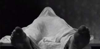 Watch : PowerSolo’s new music video “Lonely Gal” (classic horror films, psychedelia, garage punk)