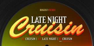 Premiere : Remii – Cruisin (Ivaylo Searching For House Remix)(Bogota Records)