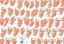 Sonny presents ‘The System EP’ – three intricate balearic wanderings on newly launched Northern Underground Records