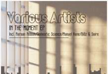 Premiere : BiGz & Soire – Daydreaming(Deep Site Digital)