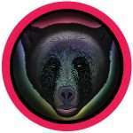 Raumakustik – Animal / Waves Featuring Jamie Jones Re-edit (Hot Creations)