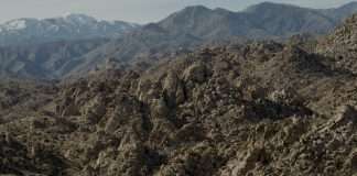 The Cinematic Orchestra share live video for “Lessons”