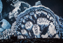 Stream : Robot Koch releases his new EP “Sphere Outtakes”