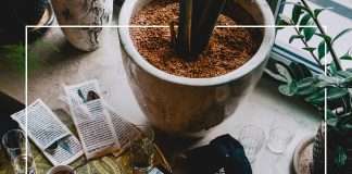 Premiere : Panic Girl – Cake On Jupiter (Modularfield)