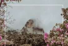 Premiere: Lucid Grain – Cercles (Modularfield)