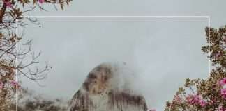 Premiere: Lucid Grain – Cercles (Modularfield)