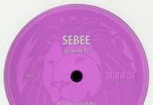 Premiere: Sebee – Run Away (Luc Remix)(Dubwise Records)