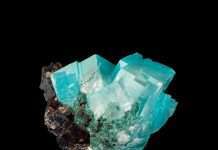 Premiere: S:sko – It Is (Wout Records)