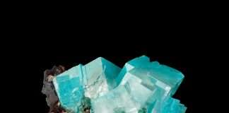 Premiere: S:sko – It Is (Wout Records)