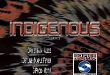 V/A (Drivetrain, Detune, G-Prod, Jace Syntax) “Indigenous” on Soiree Records