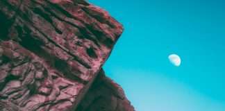 Listen: Bonobo returns with new single ‘Linked’