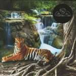 TOP 20 Electronic Chart – July 2019