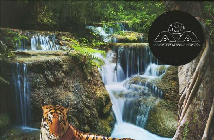 TOP 20 Electronic Chart – July 2019