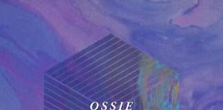 Hyperdub/Wolf Music artist Ossie offers up ‘Better Days / Change’, two cuts primed for the summer