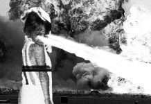 Listen: Vivian Koch joins the Omnidisc family with the ‘Insomiami’ EP