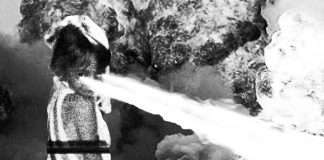 Listen: Vivian Koch joins the Omnidisc family with the ‘Insomiami’ EP