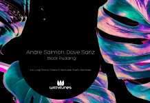 Premiere: Andre Salmon, Dave San – Black Pudding (Rulers, Samuele Scelfo Remix)