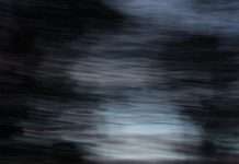 Premiere: Belly Full Of Stars – scsi (brokendatapool bonus track)(Free Download)