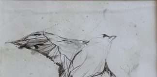 TOP 50 House Chart – August 2019