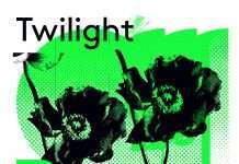 Twilight – Ray of Light on Balearica