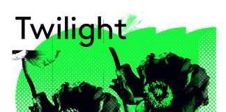 Twilight – Ray of Light on Balearica