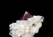 Premiere: Audiotrophe Ernaehrung – ARP 2602 (Wout Records)