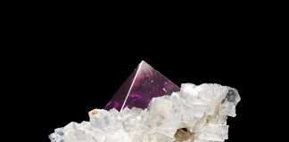 Premiere: Audiotrophe Ernaehrung – ARP 2602 (Wout Records)