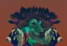 Bayaka – How Will I Know EP (Incl. Beanfield & Thomas Herb Remix)