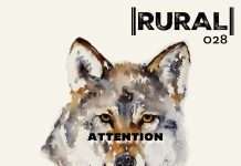 Premiere: Meerkats – Toxic (Rural Records)