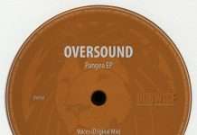 Premiere: Oversound – Pangea (Eddi Shkiper Remix)