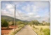 Faithless main man Rollo returns alongside Dido as R Plus, announces debut album, ‘The Last Summer’