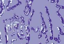 Apollo Recordings present Norweigan artist PAN-AL’s debut release/ Hear “It’s Rigged”