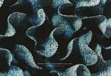 Exclusive Premiere: Robot Koch & Savannah Jo Lack – Stars Aligned