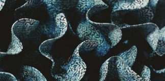 Exclusive Premiere: Robot Koch & Savannah Jo Lack – Stars Aligned