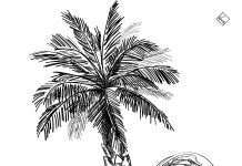 Premiere: Andy Kas – Cocoa (MYR)