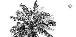 Premiere: Andy Kas – Cocoa (MYR)