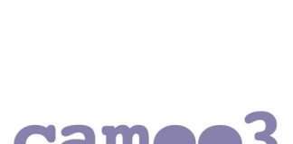 Exclusive Stream: Silhouette Cameo 3 LP + An hour long mix by Stuart Bowditch (Free Download)