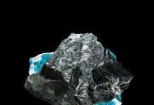 Premiere: Mila Journe – Chaos (Wout Records)