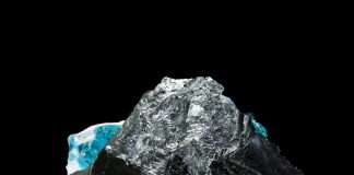 Premiere: Mila Journe – Chaos (Wout Records)