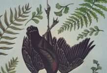 Watch: Others (Daniel Martin Diaz + Lesli Wood) Share “Geist”