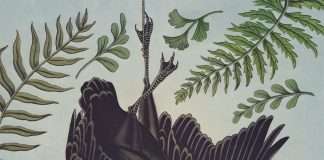 Watch: Others (Daniel Martin Diaz + Lesli Wood) Share “Geist”