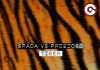 Listen: Spada vs Prezioso “Tiger”