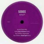 Premiere: Sebee – Spring (Rory Cochrane Remix)(Dubwise Records)