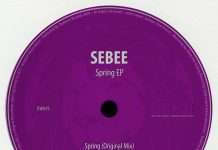 Premiere: Sebee – Spring (Rory Cochrane Remix)(Dubwise Records)