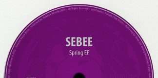 Premiere: Sebee – Spring (Rory Cochrane Remix)(Dubwise Records)