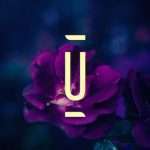 Listen: Unterwegs announce split EP from The Lady Machine & Amanda Mussi