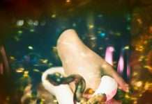 Premiere: Lindred – Hyperdrama (Denkfabrik)