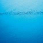 Listen: Caribou shares Never Come Back