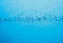 Listen: Caribou shares Never Come Back