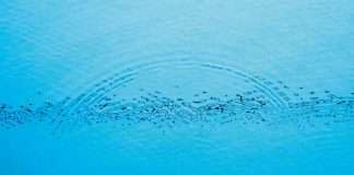 Listen: Caribou shares Never Come Back